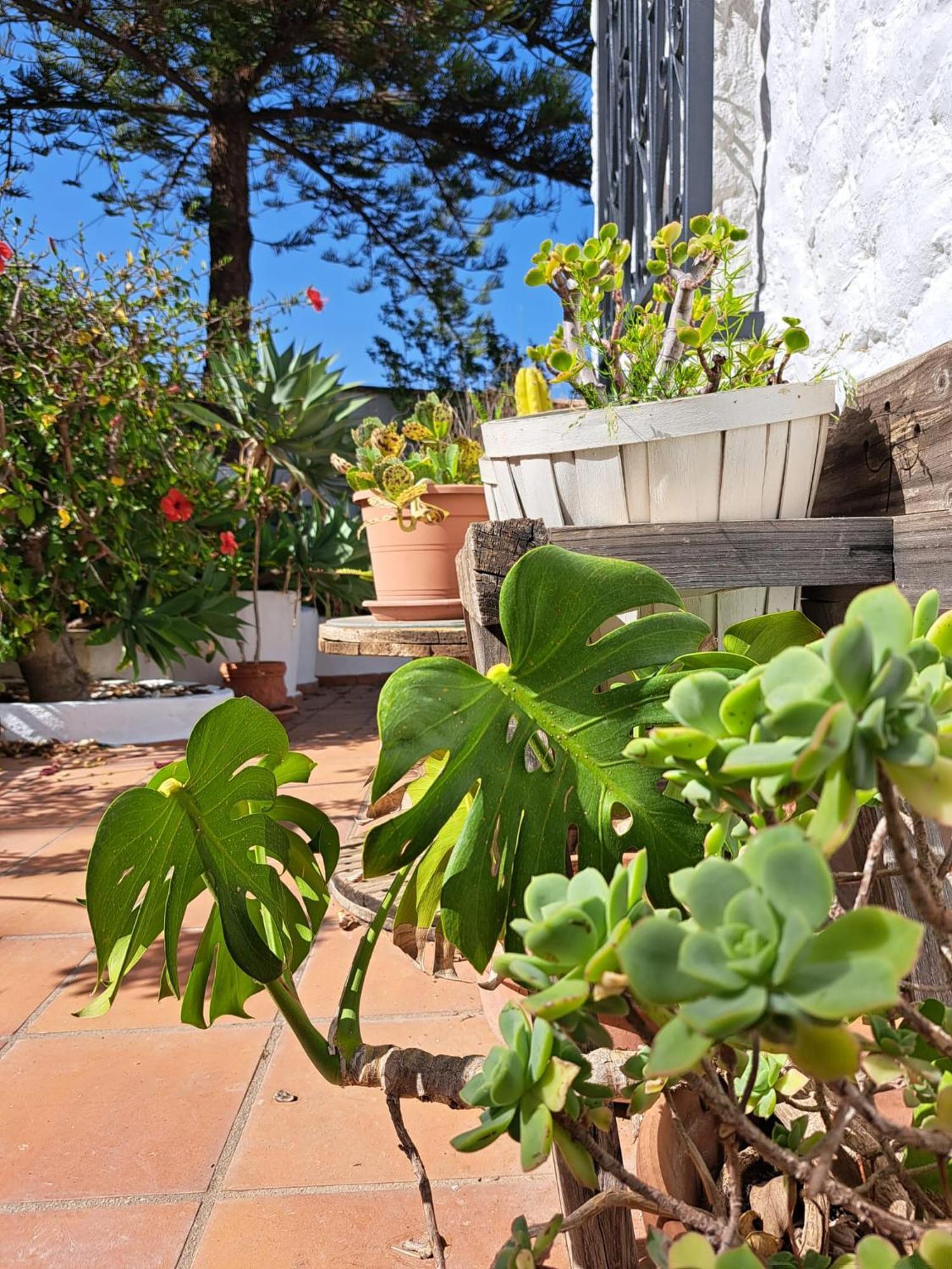 Casa Campo Mijas Costa Del Sol Málaga Buitenkant foto